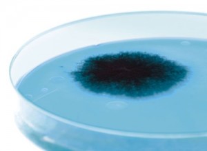 antibiotika_resistenz