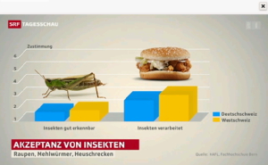 Insekten_tagesschau