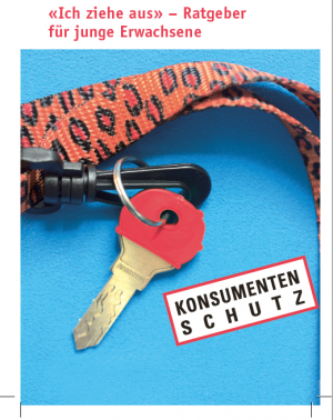 Miniratgeber_Auszug