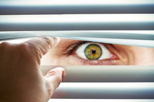 Observation eye